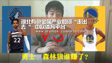 湖北有色金属产业如何“走出去“-中欧体育平台(图3) 中欧体育平台