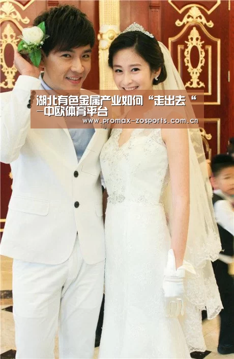 湖北有色金属产业如何“走出去“-中欧体育平台(图1) 中欧体育平台