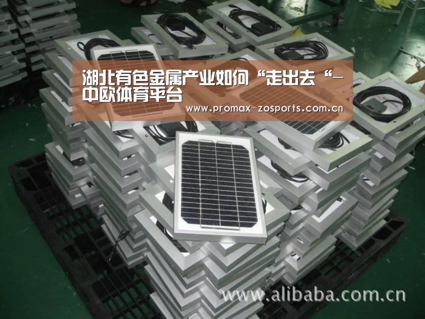 湖北有色金属产业如何“走出去“-中欧体育平台(图2) zoty体育