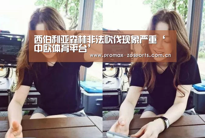 西伯利亚森林非法砍伐现象严重‘中欧体育平台’(图1) 中欧体育平台