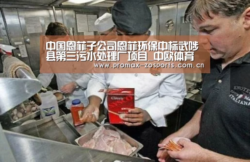 中国恩菲子公司恩菲环保中标武陟县第三污水处理厂项目_中欧体育(图1) 中欧体育