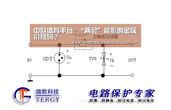 中欧体育