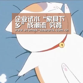 中欧体育官网