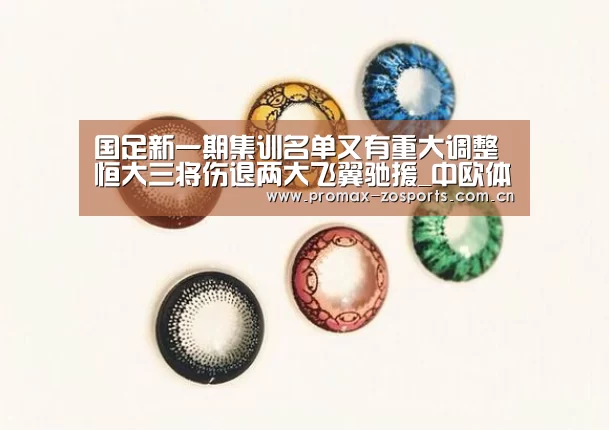国足新一期集训名单又有重大调整 恒大三将伤退两大飞翼驰援_中欧体育平台(图3) zoty体育